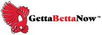GettaBetta™ Now