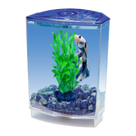 Betta fish starter tank